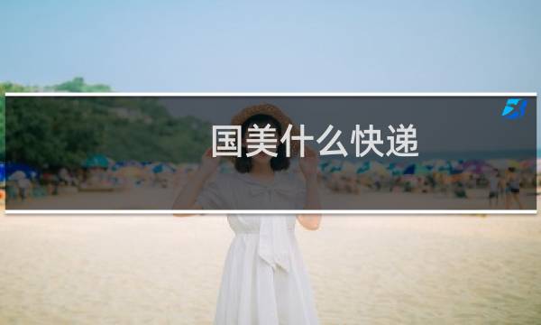国美什么快递