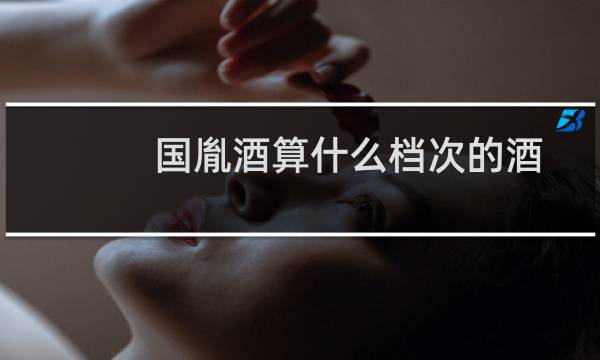 国胤酒算什么档次的酒