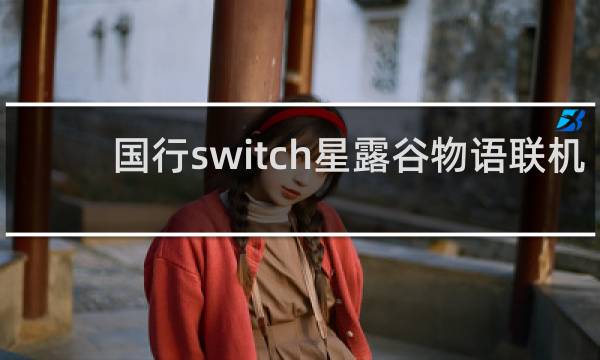 国行switch星露谷物语联机