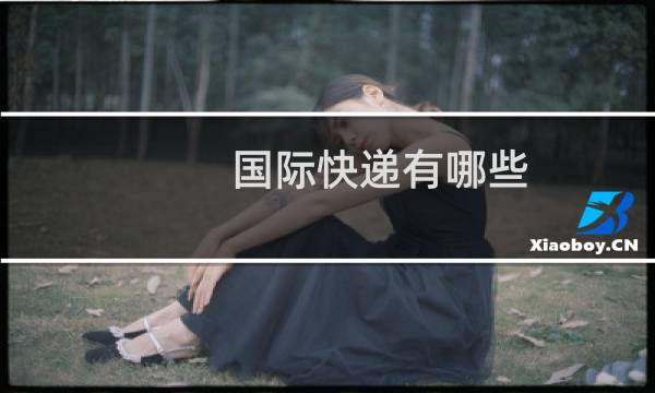 国际快递有哪些