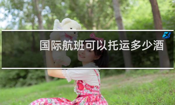 国际航班可以托运多少酒