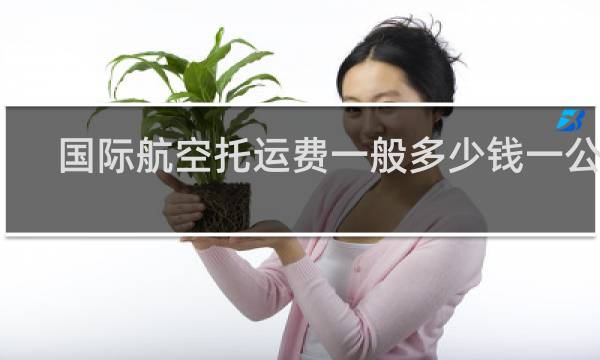 国际航空托运费一般多少钱一公斤