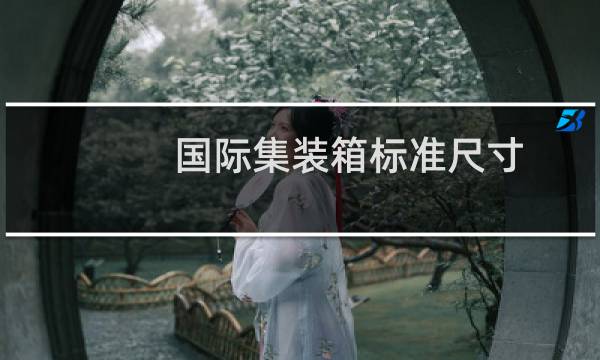 国际集装箱标准尺寸