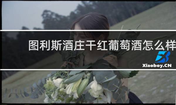 图利斯酒庄干红葡萄酒怎么样
