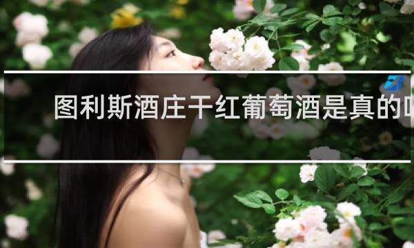 图利斯酒庄干红葡萄酒是真的吗