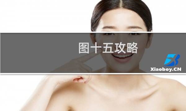 图十五攻略