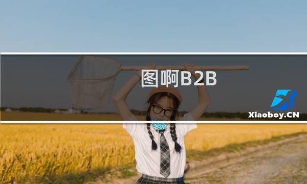 图啊B2B