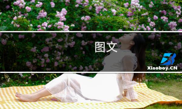 图文 视频攻略