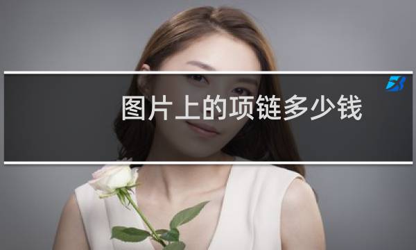 图片上的项链多少钱