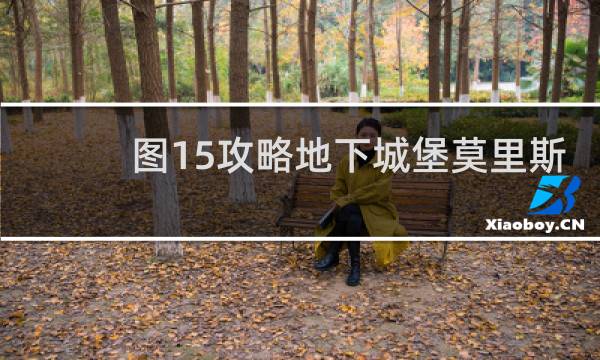 图15攻略地下城堡莫里斯