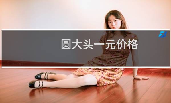 圆大头一元价格
