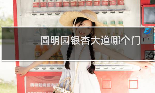 圆明园银杏大道哪个门