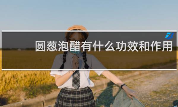 圆葱泡醋有什么功效和作用