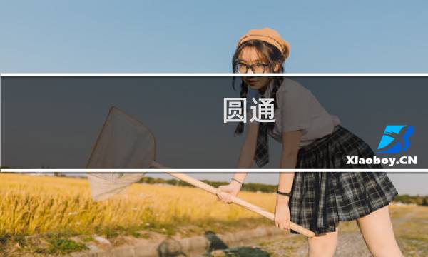 圆通 申通 哪个便宜