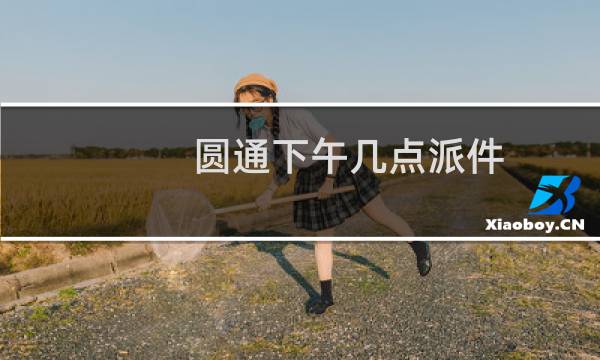 圆通下午几点派件
