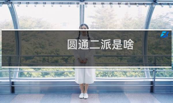 圆通二派是啥