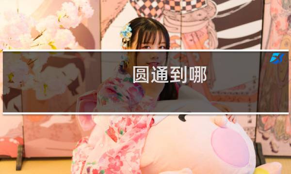 圆通到哪