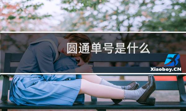 圆通单号是什么