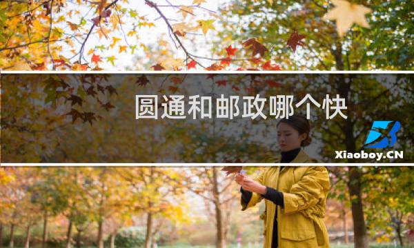 圆通和邮政哪个快
