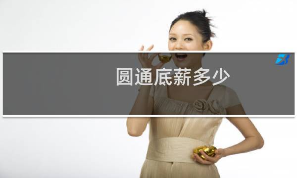圆通底薪多少