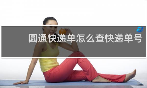 圆通快递单怎么查快递单号