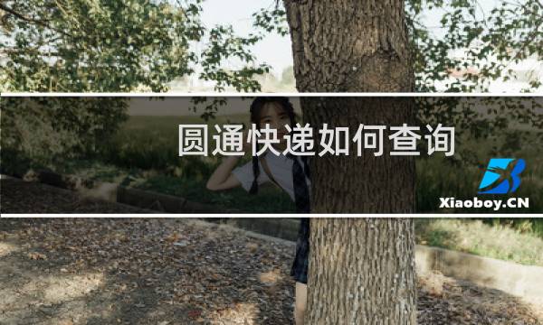 圆通快递如何查询