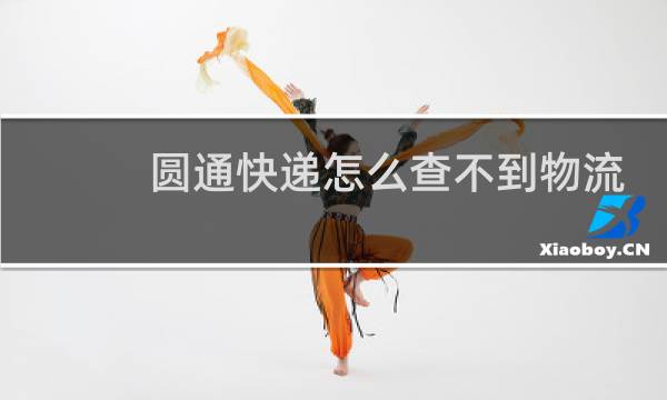 圆通快递怎么查不到物流
