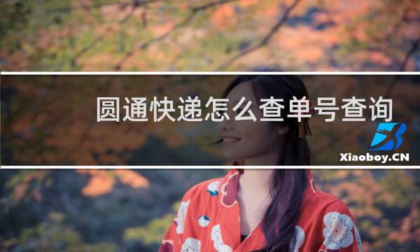圆通快递怎么查单号查询