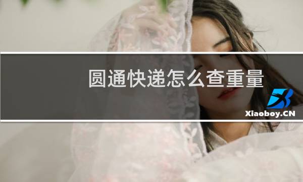 圆通快递怎么查重量