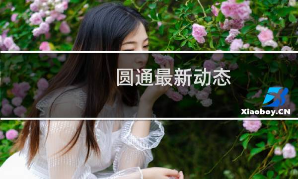圆通最新动态