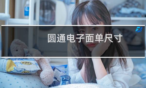 圆通电子面单尺寸
