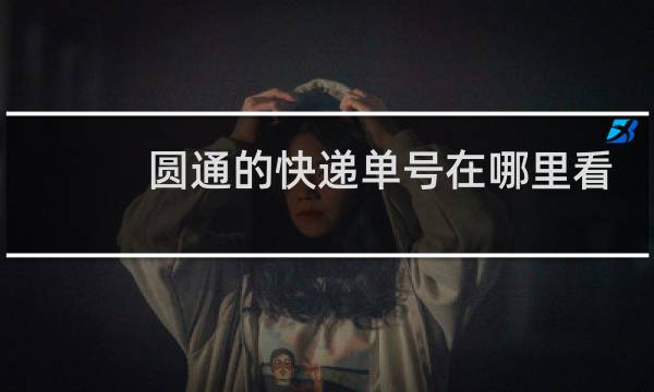 圆通的快递单号在哪里看