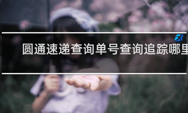 圆通速递查询单号查询追踪哪里l