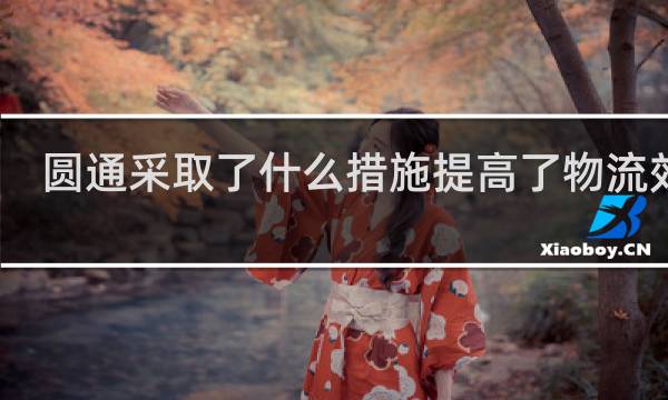 圆通采取了什么措施提高了物流效率