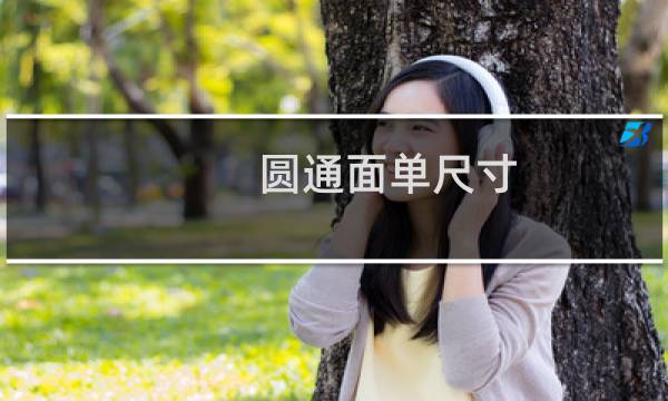圆通面单尺寸