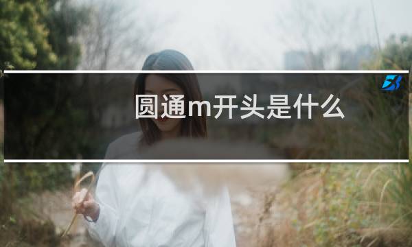 圆通m开头是什么