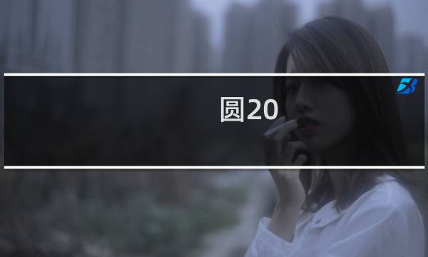 圆20 大概多少钱