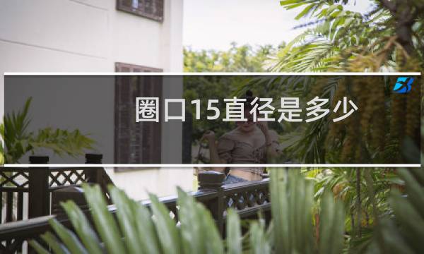 圈口15直径是多少