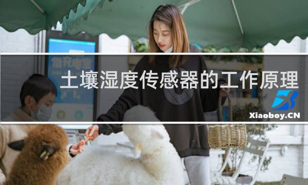 土壤湿度传感器的工作原理