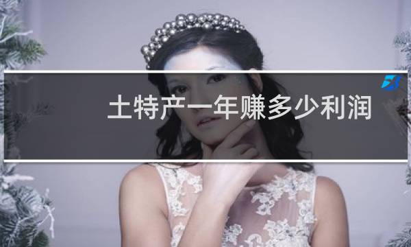 土特产一年赚多少利润
