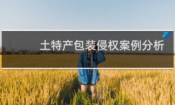土特产包装侵权案例分析