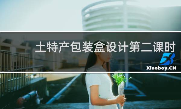 土特产包装盒设计第二课时