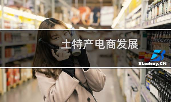 土特产电商发展