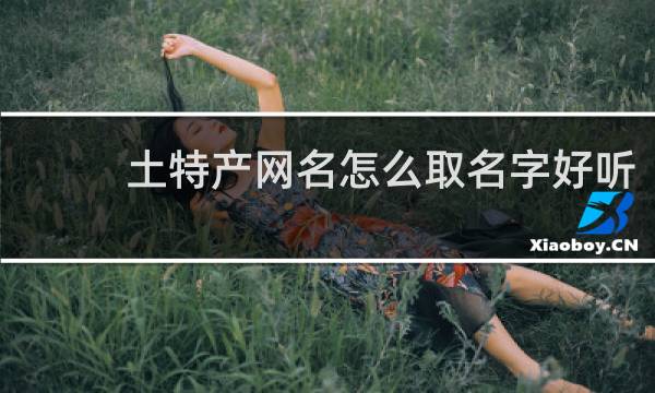 土特产网名怎么取名字好听