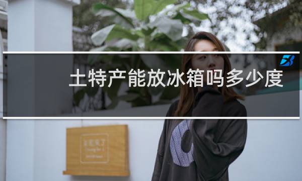 土特产能放冰箱吗多少度