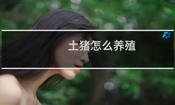 土猪怎么养殖