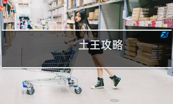 土王攻略
