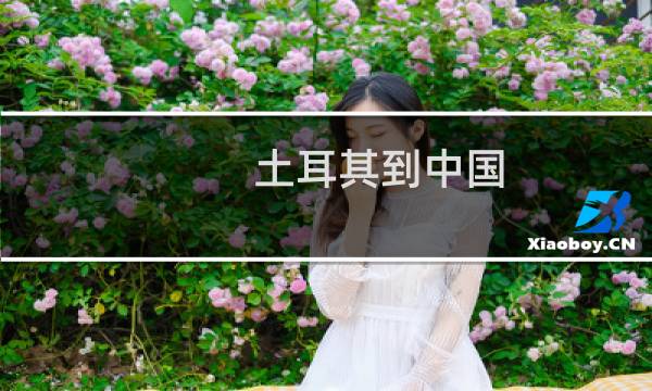 土耳其到中國