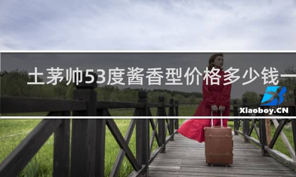 土茅帅53度酱香型价格多少钱一瓶