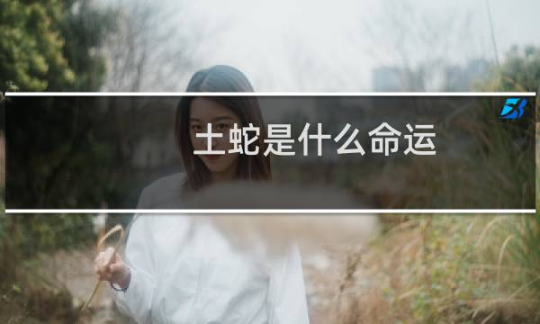 土蛇是什么命运